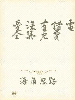 爱没有错电视剧全集免费封面