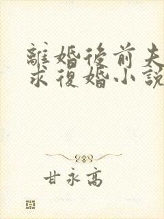 离婚后前夫哭着求复婚小说免费讲述