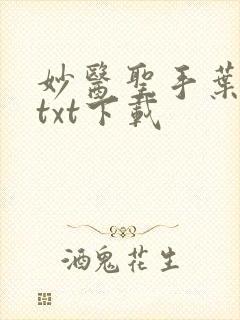 妙医圣手叶皓轩txt下载