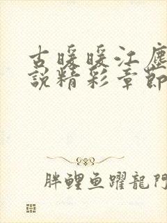 古暖暖江尘御小说精彩章节75