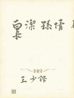 白洁 孙倩 局长封面