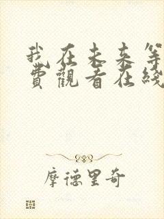 我在未来等你免费观看在线电视剧