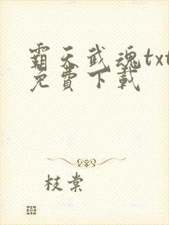 霸天武魂txt免费下载