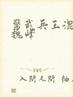 医武兵王混乡村魏峰