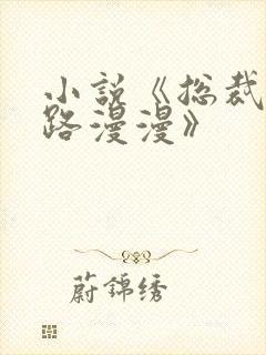 小说《总裁追妻路漫漫》封面