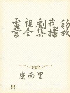 电视剧我的特一营全集播放