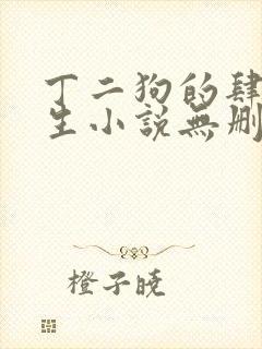 丁二狗的肆意人生小说无删减txt