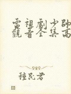 电视剧少帅免费观看全集高清