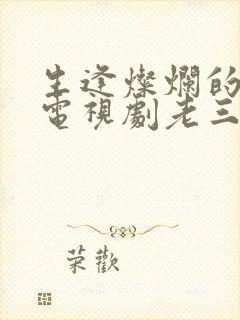 生逢灿烂的日子电视剧老三结局