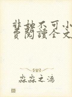 非她不可小说免费阅读全文