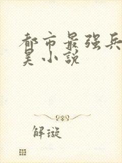 都市最强兵王叶昊小说