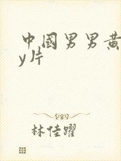 中国男男黄gay片封面