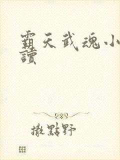 霸天武魂小说阅读封面