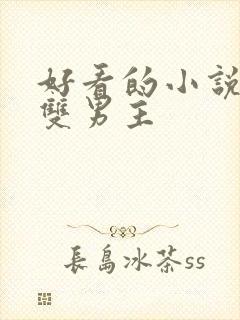 好看的小说修真双男主封面