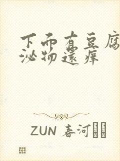 下面有豆腐渣分泌物还痒封面