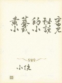 黄蓉的秘密大武小武小说免费阅读