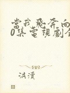 当我飞奔向你40集电视剧全集在线观看封面