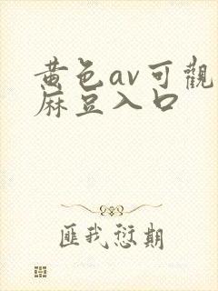 黄色av可观看麻豆入口