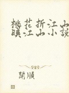 桃花折江山桃花映江山小说免费完整版封面