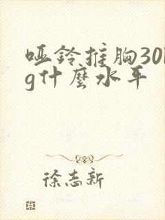 哑铃推胸30kg什么水平