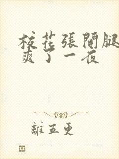 校花张开腿让我爽了一夜封面