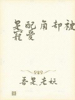 是配角却被王子宠爱