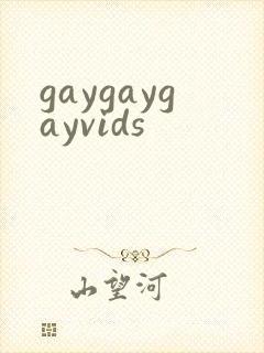 gaygaygayvids封面