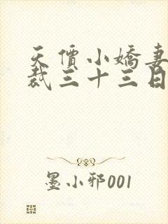 天价小娇妻 总裁三十三日索情