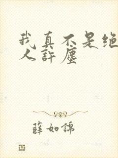 我真不是绝世高人许尘