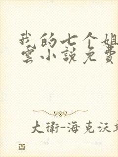 我的七个姐姐陆云小说免费阅读