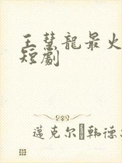 王慧龙最火十部短剧