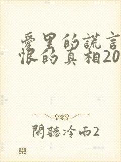 爱里的谎言,仇恨的真相20