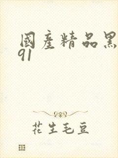 国产精品黑丝袜91