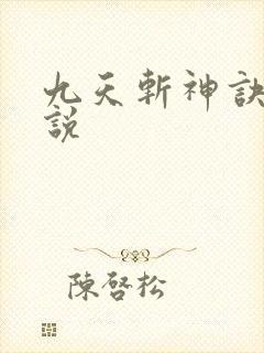 九天斩神诀 小说