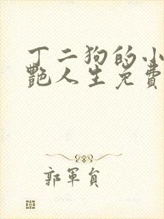 丁二狗的小说猎艳人生免费阅读全文