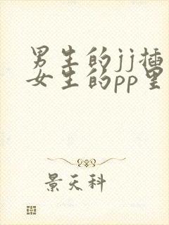 男生的jj插入女生的pp里