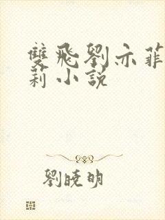 双飞刘亦菲刘晓莉小说