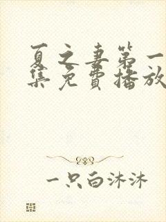 夏之妻第一季全集免费播放动漫