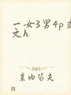 一女3男4p爽文h