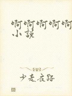 啊啊啊啊啊高h小说封面