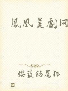 凤凰美剧网网站封面