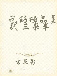 我的极品美女总裁 三米半