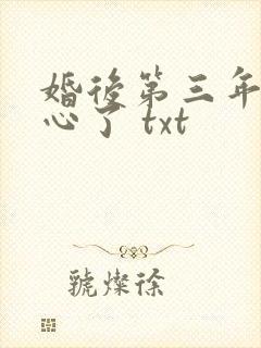 婚后第三年她变心了 txt