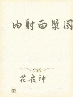 内射白浆国产一