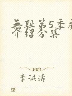 无耻第5季剧情介绍分集