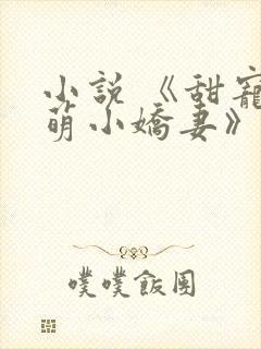 小说 《甜宠呆萌小娇妻》