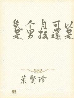 几个月可以看出是男孩还是女孩