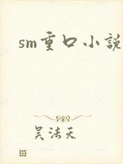 sm重口小说h
