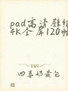 pad高清壁纸4k全屏120帧