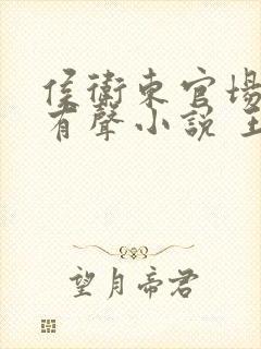 侯卫东官场笔记有声小说 王明君封面